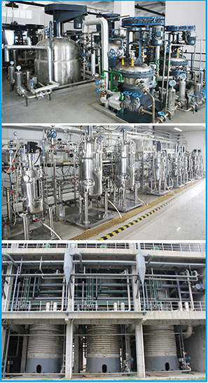 Sichuan Lomon Bio Technology Co., Ltd.